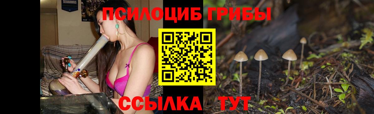 Галлюциногенные грибы мухоморы  Вход с VPN  Псилоцибиновые грибы Psilocybine cubensis  Сегежа 